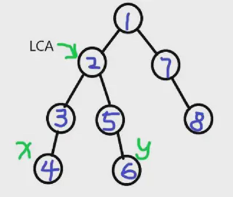 Featured image of post LCA(最近公共祖先)